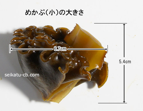 小サイズのめかぶ1個、1本の大きさ