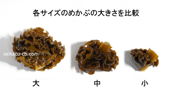 各サイズのめかぶ1個、1本の大きさ