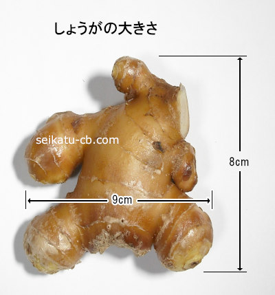 しょうが1個の大きさ
