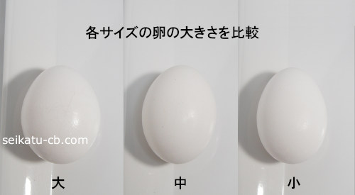 大・中・小の卵の大きさを比較