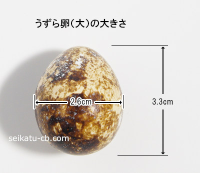 うずら卵の重さは1個 1粒で何グラム 大きさやカロリーは 生活知恵袋