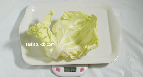 ���L�˥������Υ���٥Ĥ���1��νŤ���100g