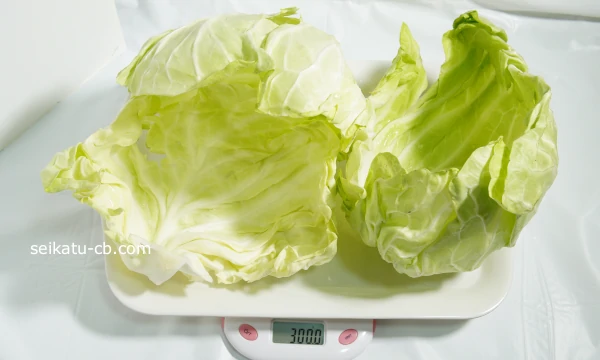 ���L�˥������Υ���٥Ĥ���3��νŤ���300g