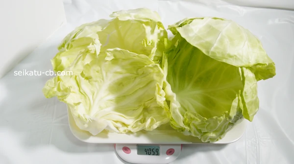 ���L�˥������Υ���٥Ĥ���4��νŤ�����400g