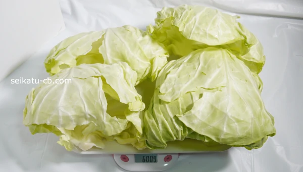 ���L�˥������Υ���٥Ĥ���6��νŤ�����600g