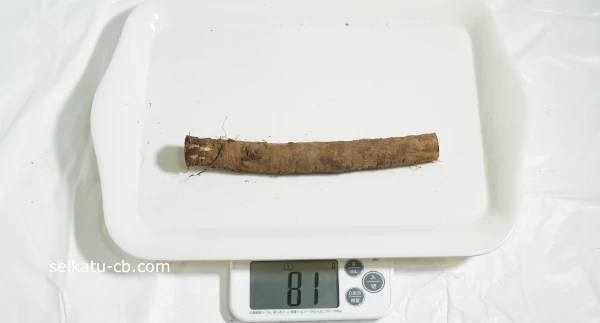 ���ܤ�20cm�νŤ���81g