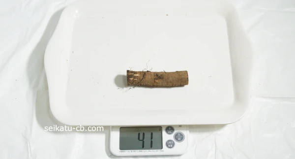 ���ܤ�10cm�νŤ���41g