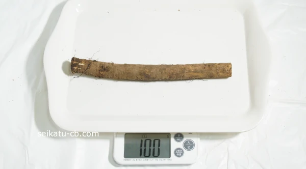 ���ܤ�100g����24.5cm