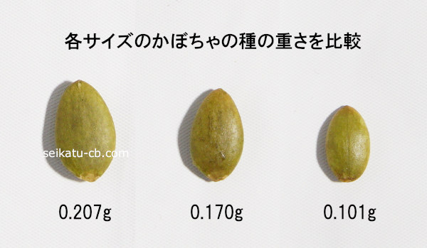 小さなかぼちゃの種1粒の重さは0.101g