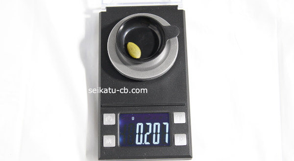 大きなかぼちゃの種1粒の重さは0.207g