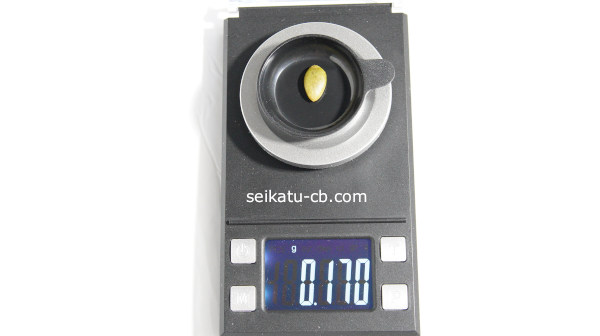 かぼちゃの種1粒の重さは0.170g