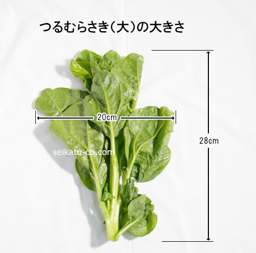 ���L�˥������ΤĤ��餵��1�ܤ��礭��