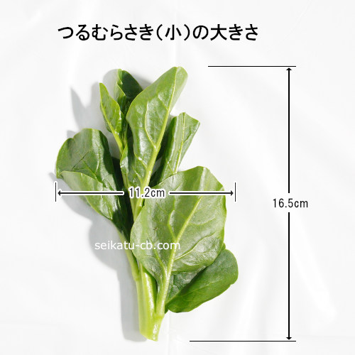 ����S�˥������ΤĤ��餵��1�ܤ��礭��