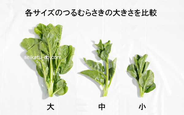 �ƥ������ΤĤ��餵�����礭�����