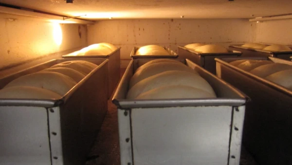 ケースに入れて焼いている山型の食パン