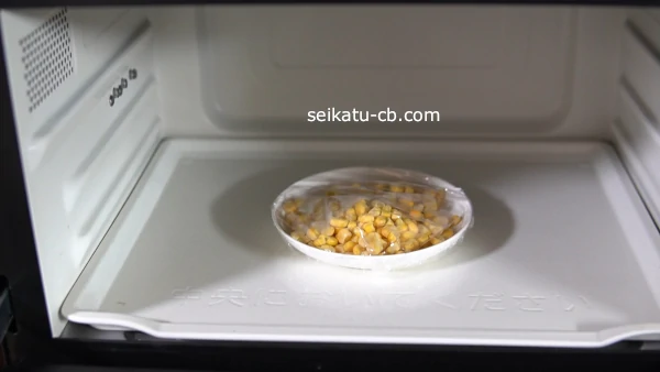 �˥��쥤������Ȥ�����������󥸤ǲ�Ǯ����