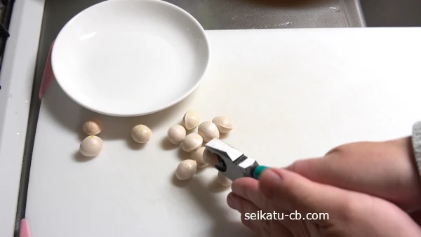 銀杏の殻をペンチで割る